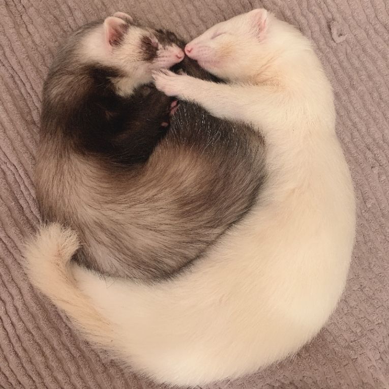 ハク&センちゃん