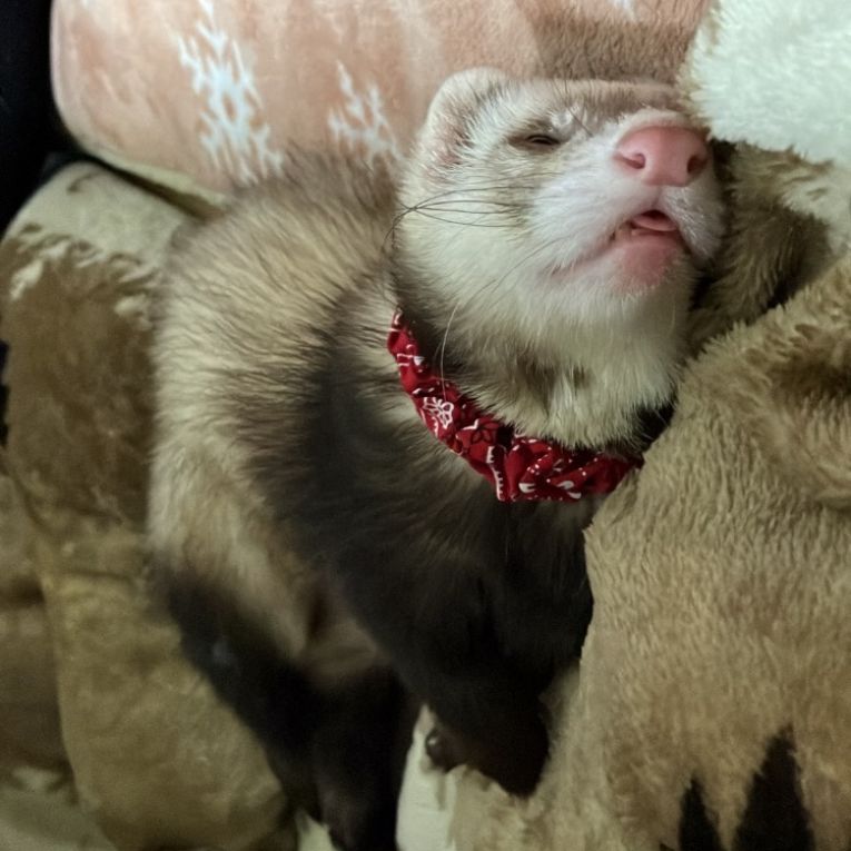 なっくるちゃん