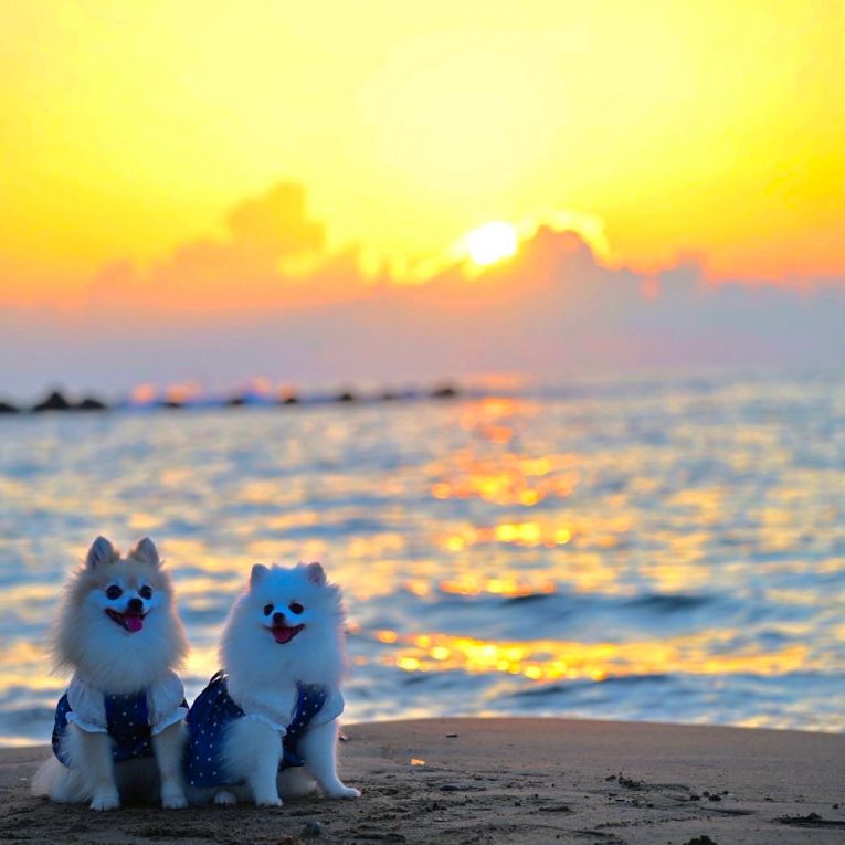 ルナ＆コトちゃん