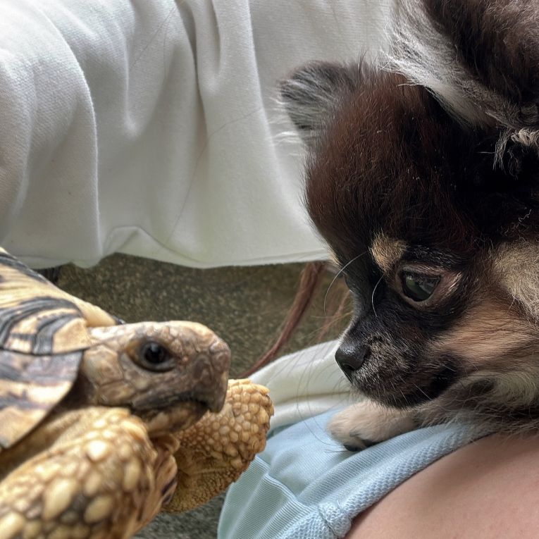 べーきちちゃん