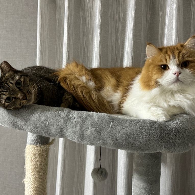 あんことむつきちゃん