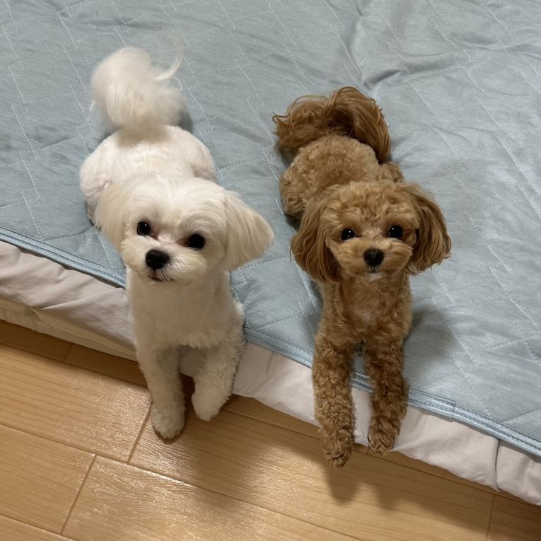 そらとこはるちゃん