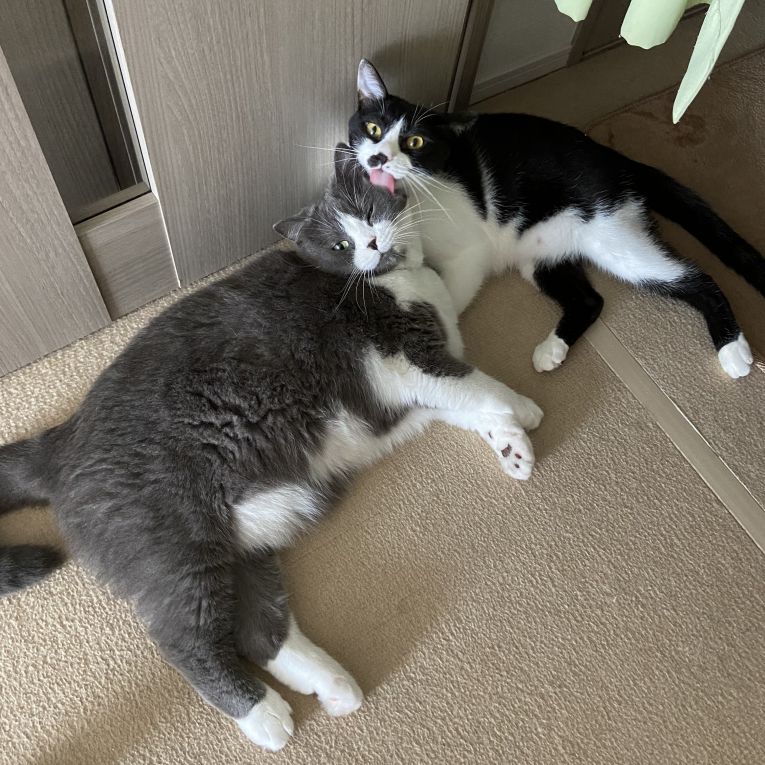 そらまめ&りんちゃん