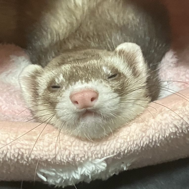 なっくるちゃん