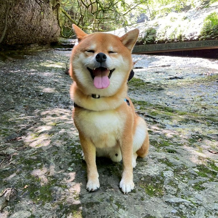 だいすけちゃん