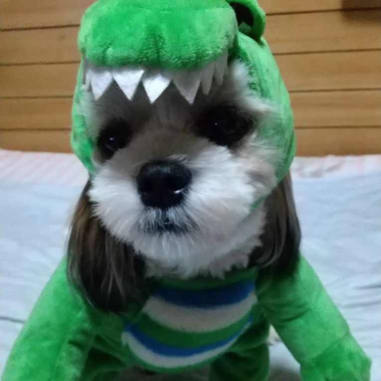 魁ちゃん