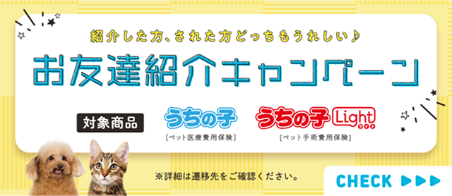友達紹介キャンペーン