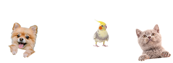 猫インコ犬
