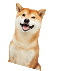 犬