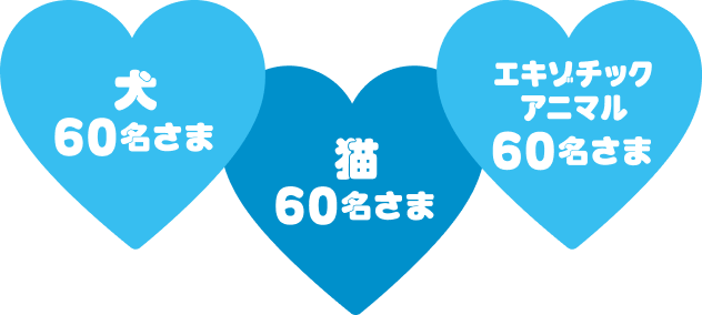 犬60名さま　猫60名さま　エキゾチックアニマル60名さま