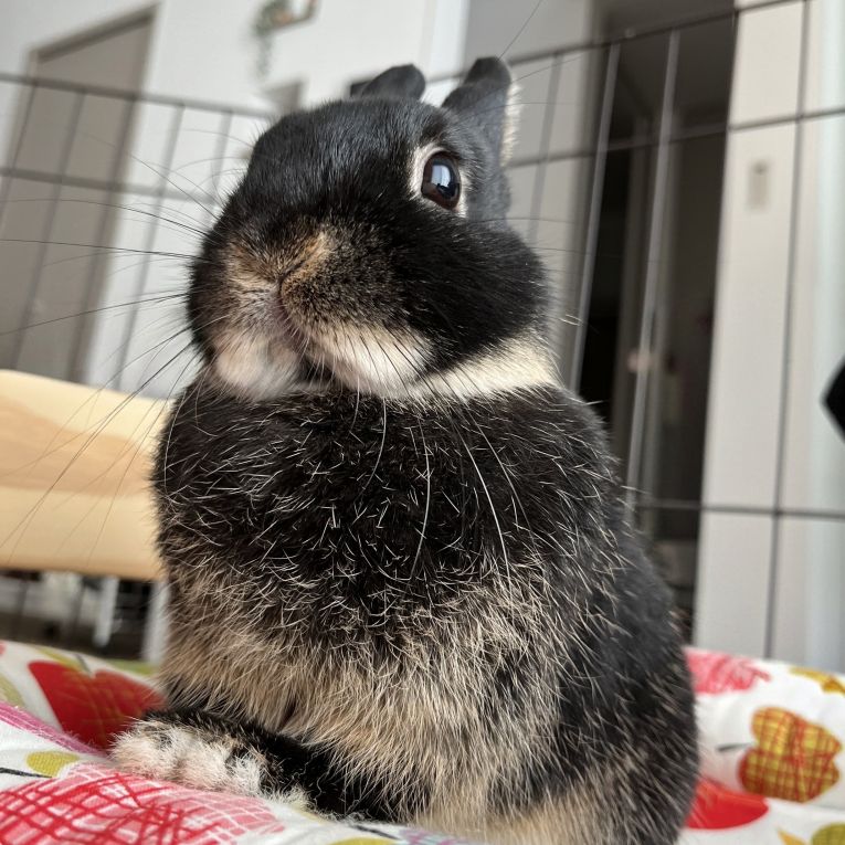 ぽたちゃん