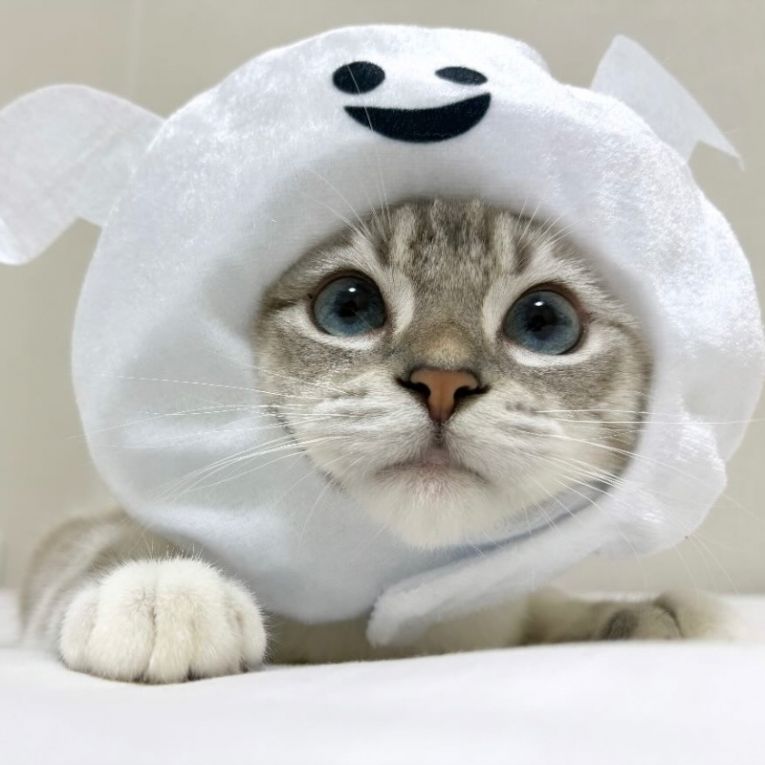 クラロちゃん
