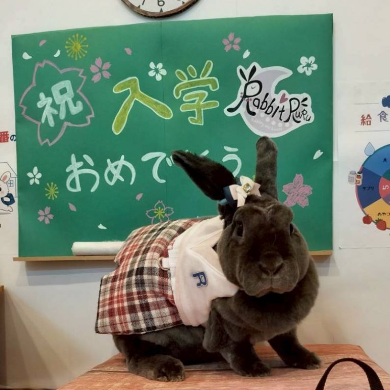 あるちゃん