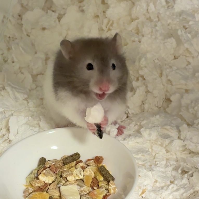 まるちゃん