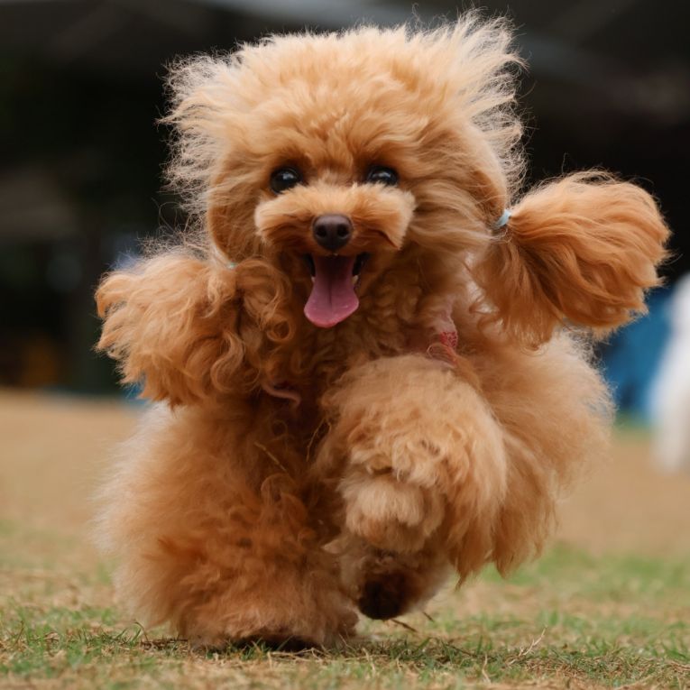 ちぇりちゃん