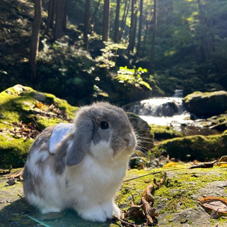 なぎちゃん