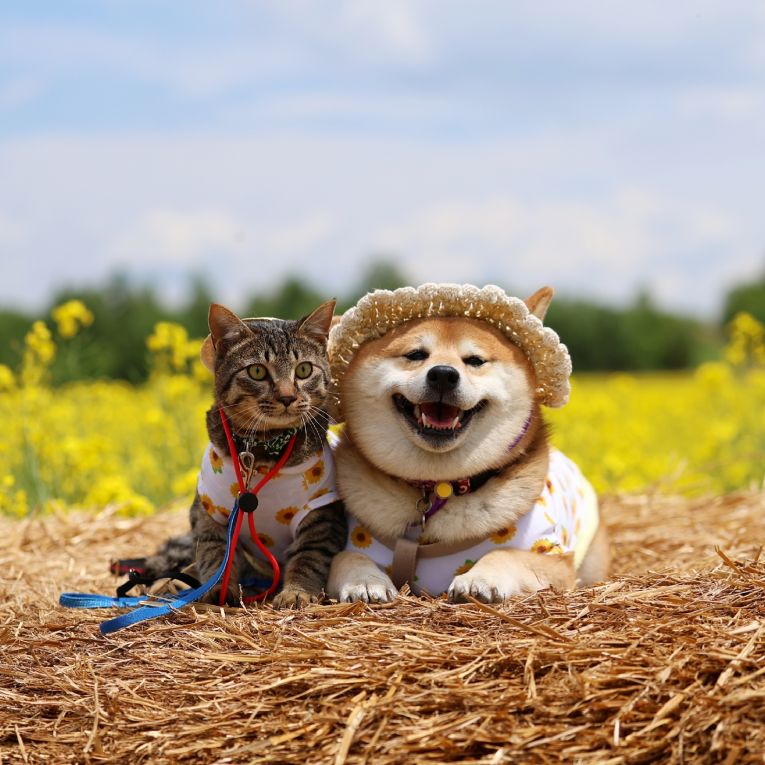 あんず&ゆずちゃん