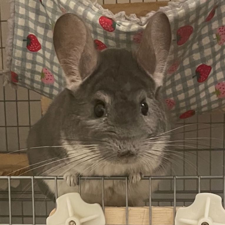 そらちゃん