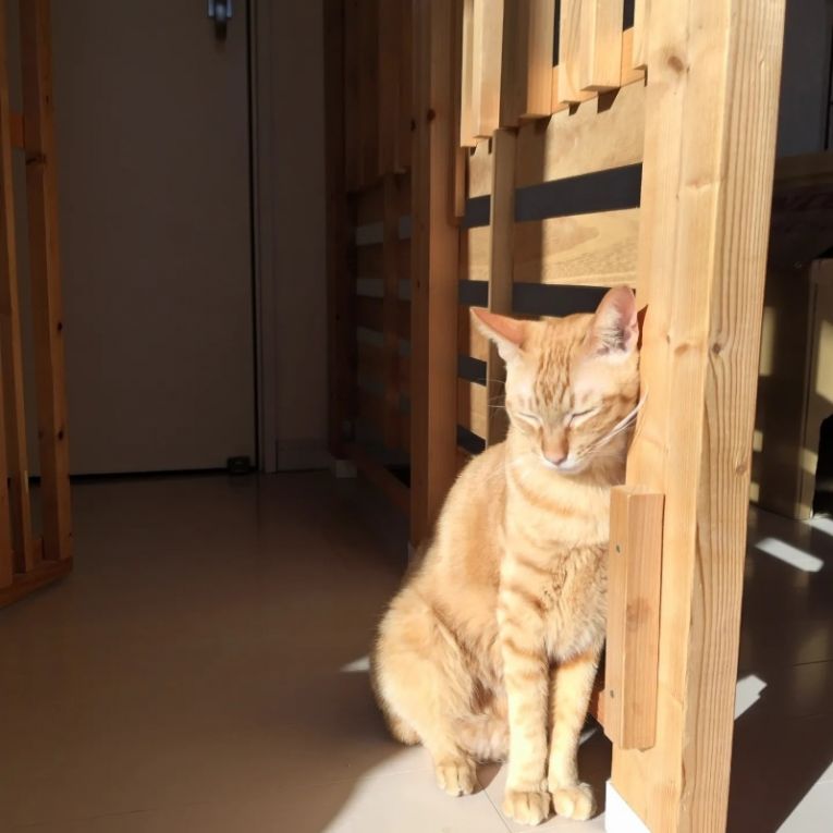 れっどくんちゃん