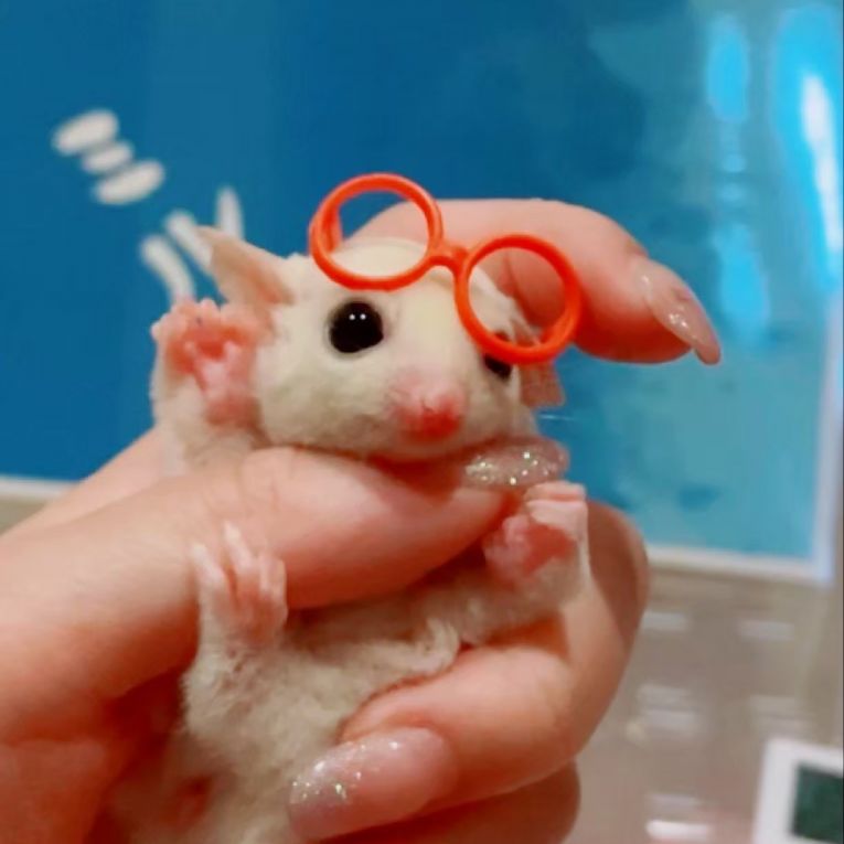 ミルクちゃん