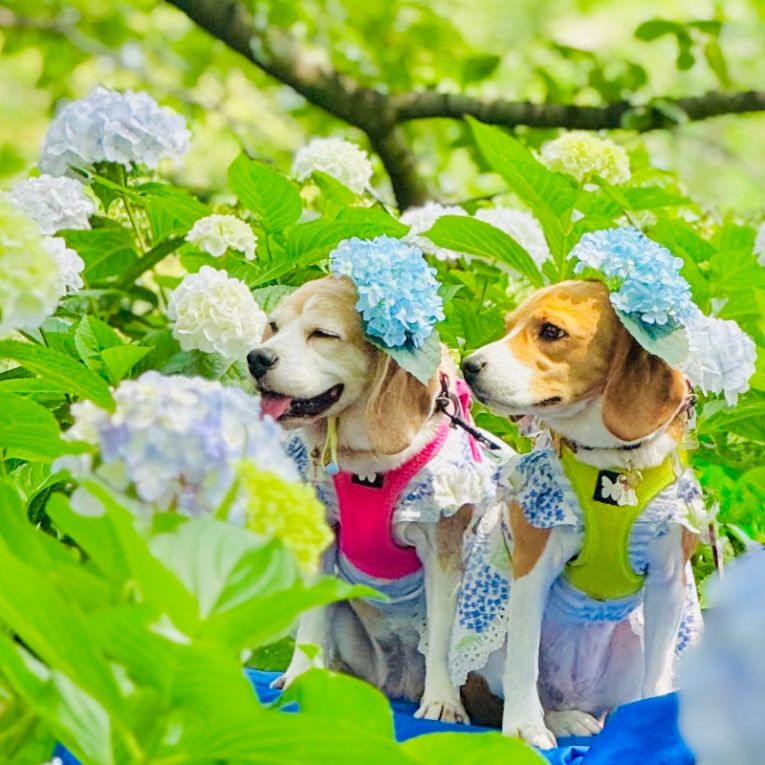 ふみ&さきちゃん