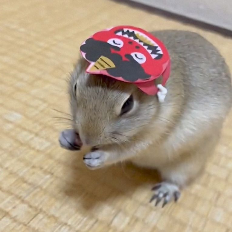 マシューちゃん