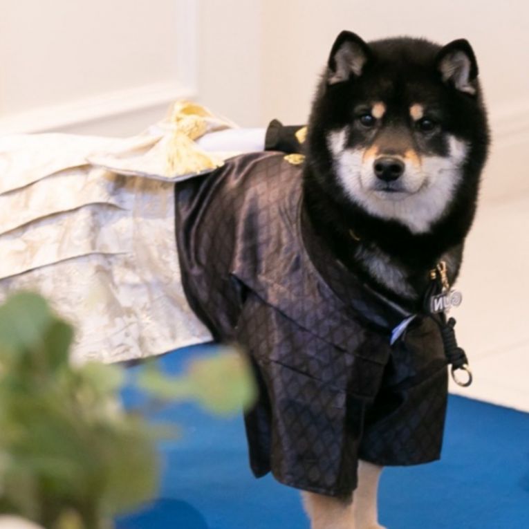 ぐん太ちゃん
