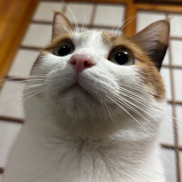 うめちゃん