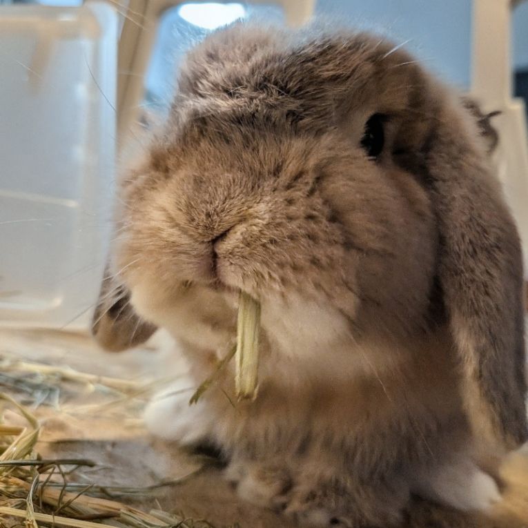 くーちゃん