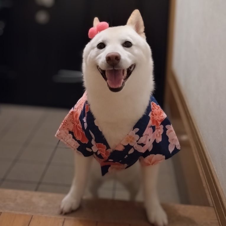ゆきちゃん