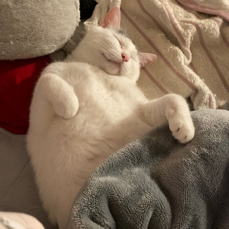 うるちゃん