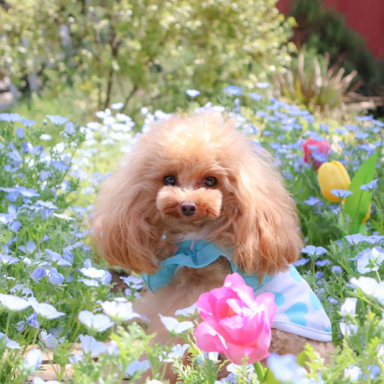 ちぇりちゃん