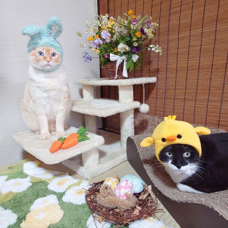 キキちゃん、ちーくんちゃん