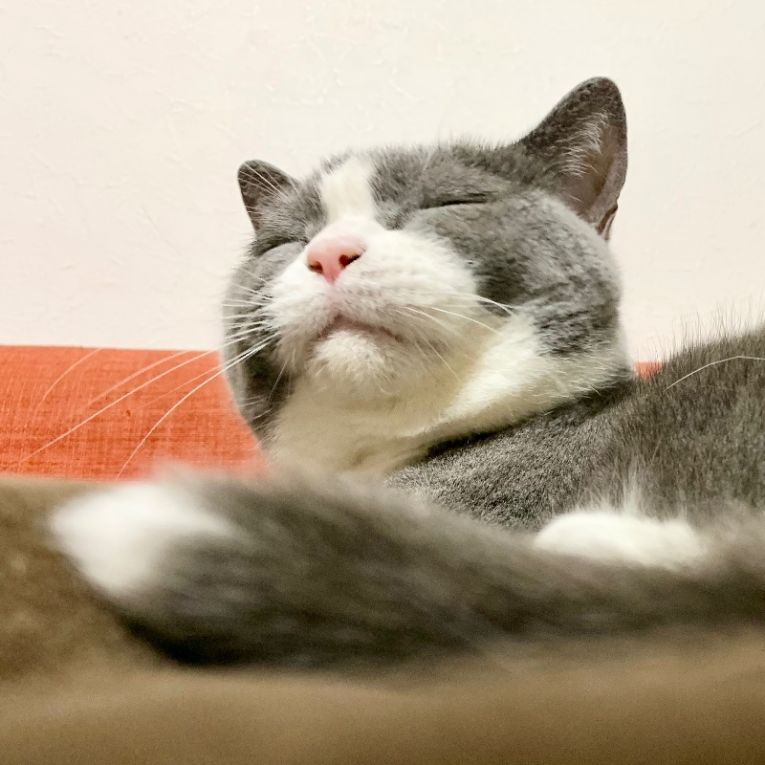 ジェラちゃん