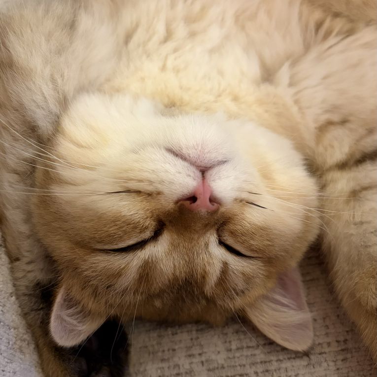 ひのまるちゃん