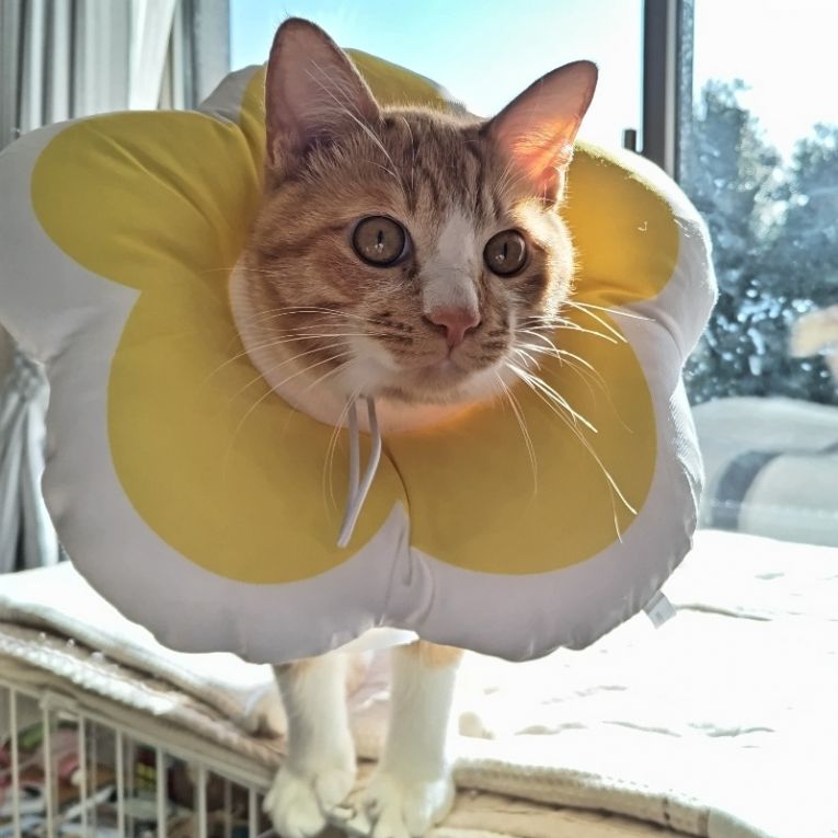 まっちゃちゃん