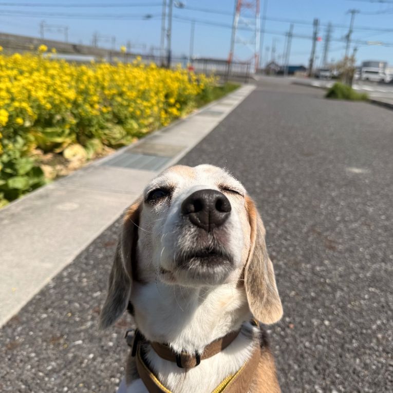 大吉ちゃん