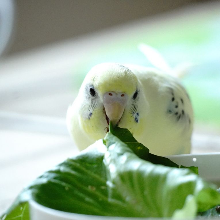紡ぐちゃん
