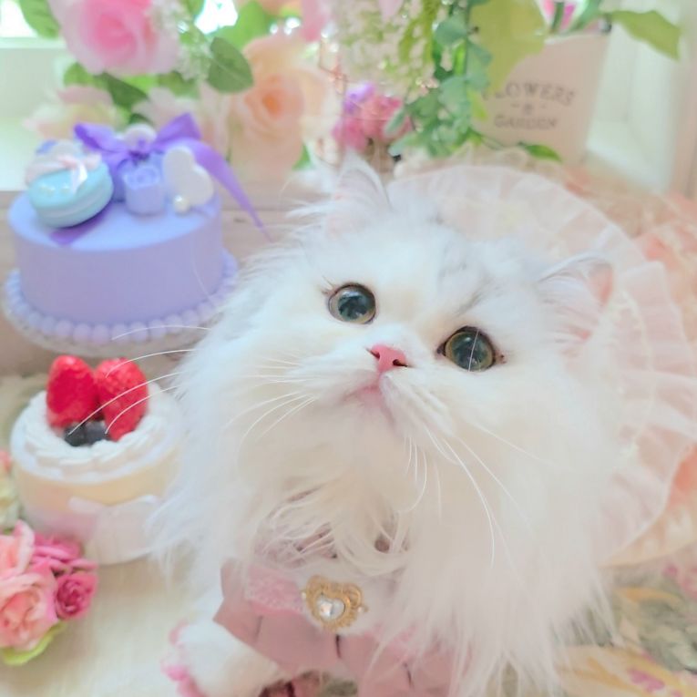 寿鞠ちゃん