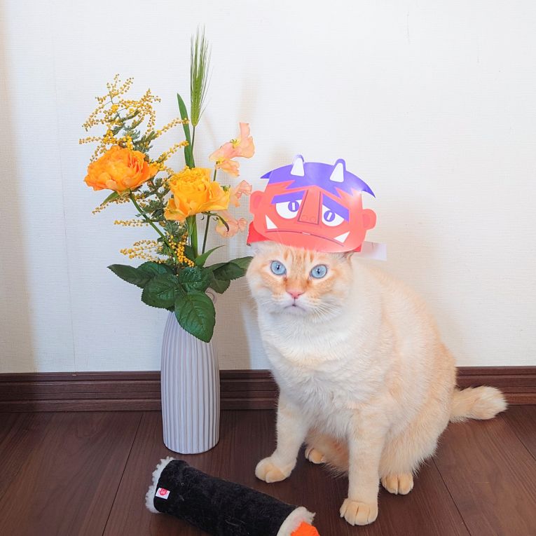 キキちゃんちゃん