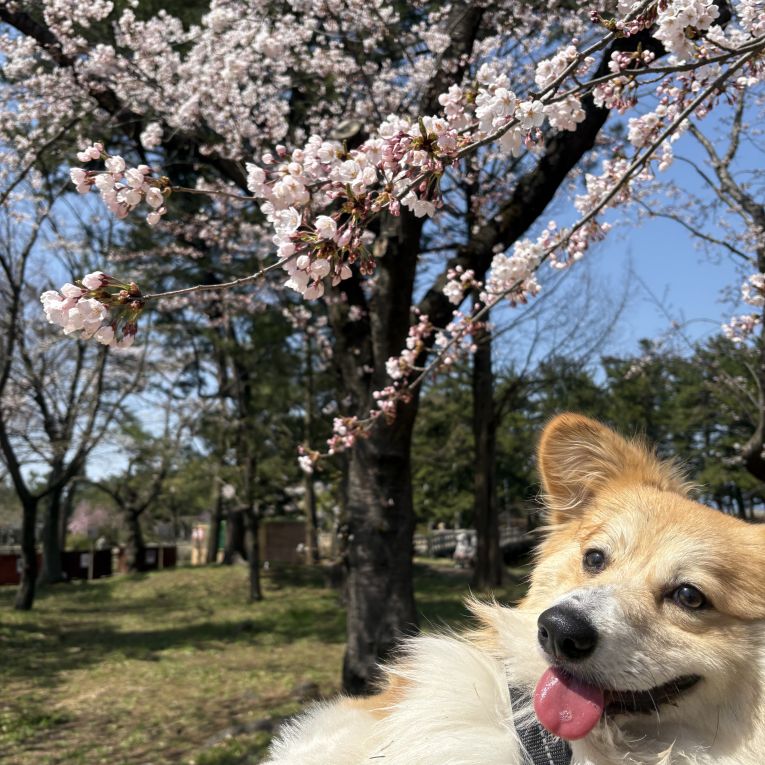 さぶろうちゃん