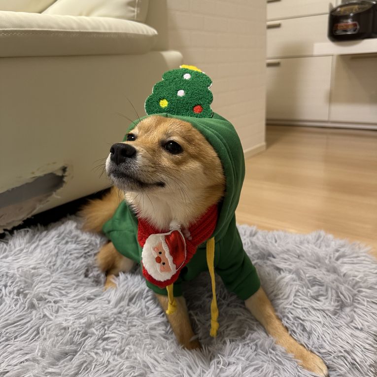 ととちゃん