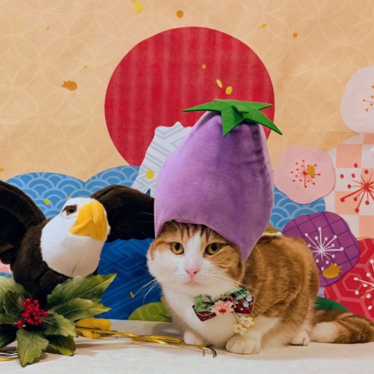 杞阿(きあ)ちゃん