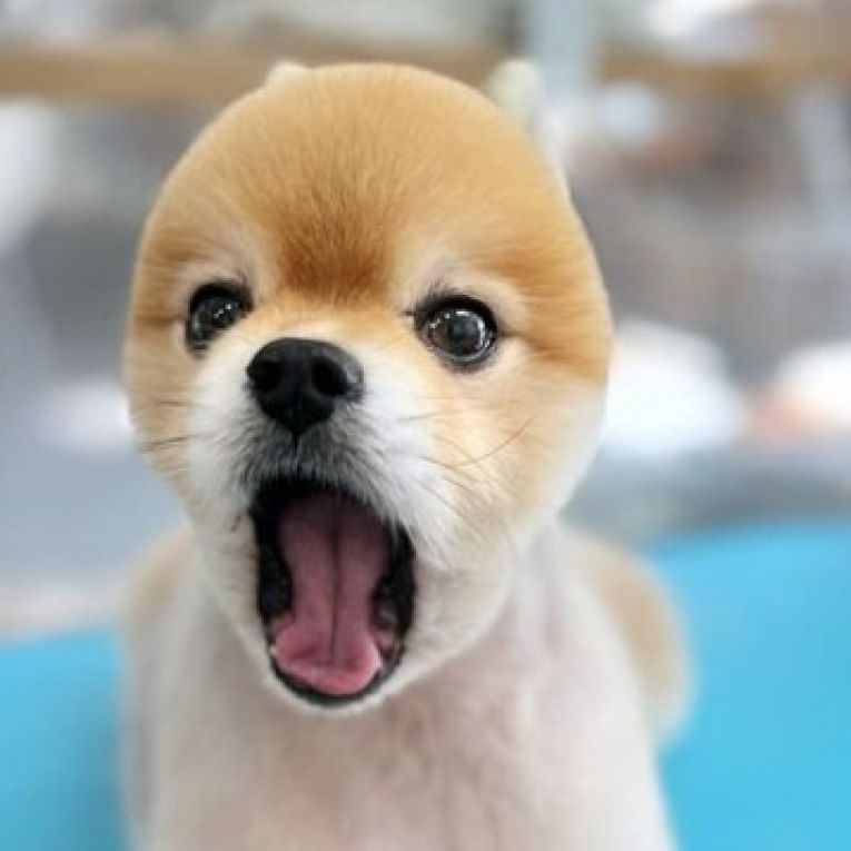 きらちゃん