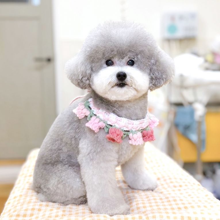 もずくちゃん
