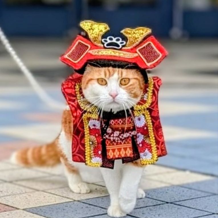 杞阿(きあ)ちゃん
