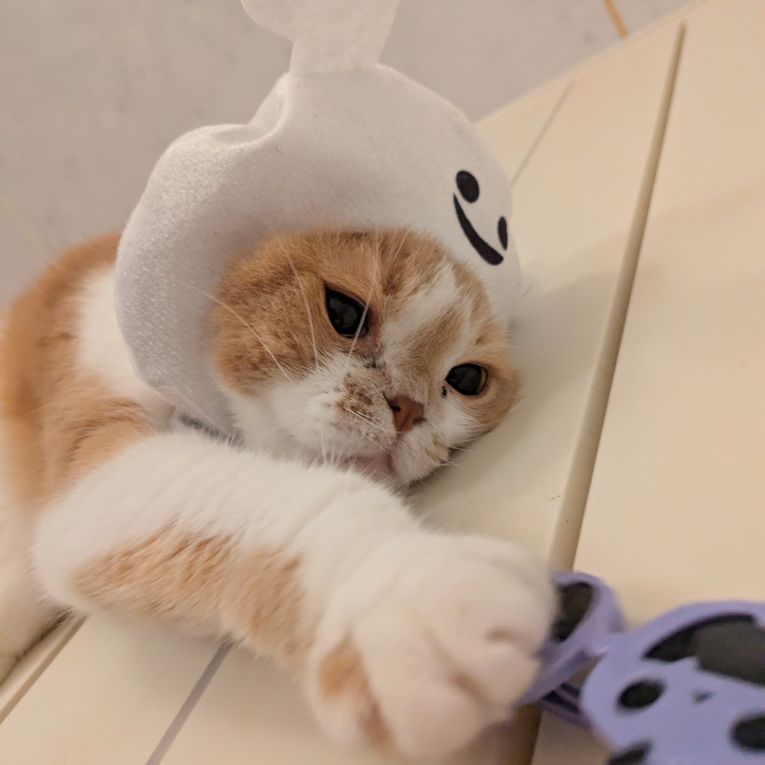まるちゃん