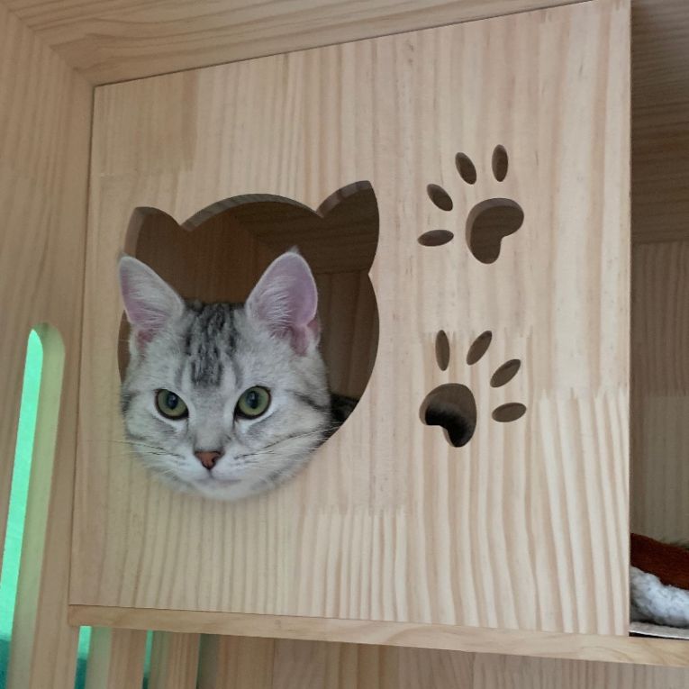琥珀ちゃん