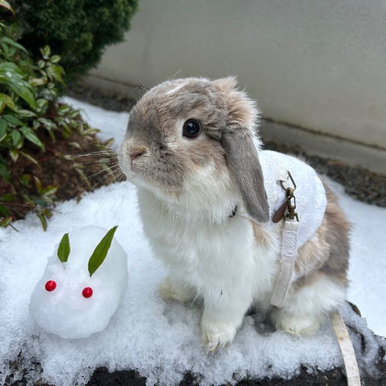 なぎちゃん