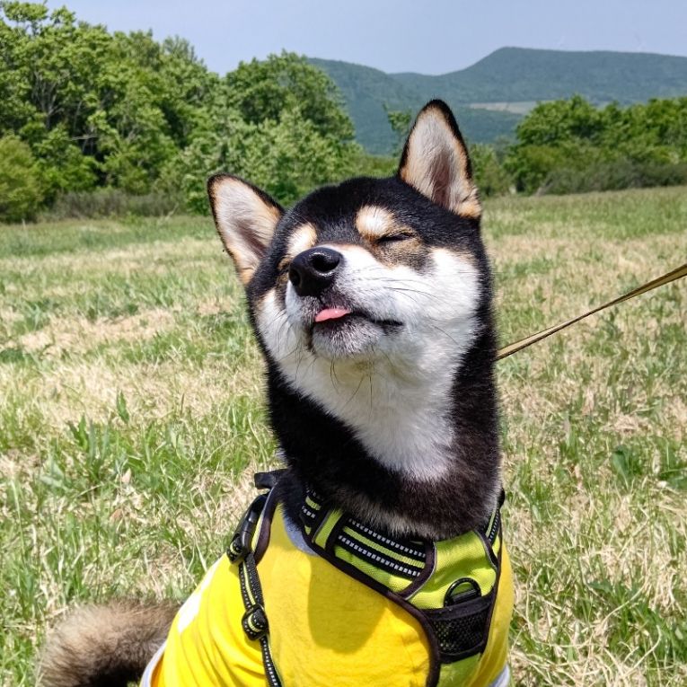 あさひちゃん